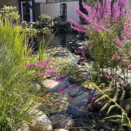 Apartment Stockser Hof *