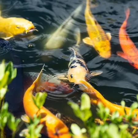 Apartment Stockser Hof *