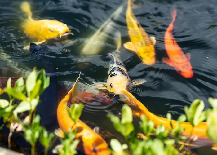 Daire Stockser Hof *