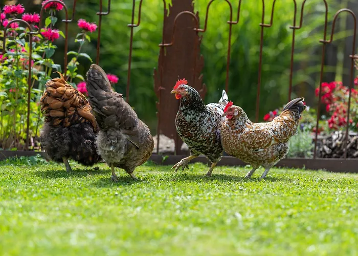 Stockser Hof Daire *